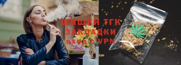 дурь Заводоуковск
