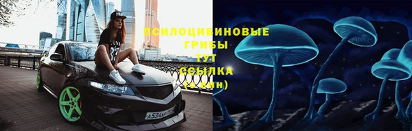 дурь Заводоуковск