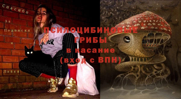 ГАЛЛЮЦИНОГЕННЫЕ ГРИБЫ Заволжск