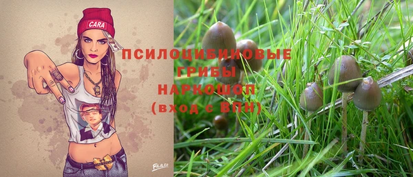 амф Заволжье