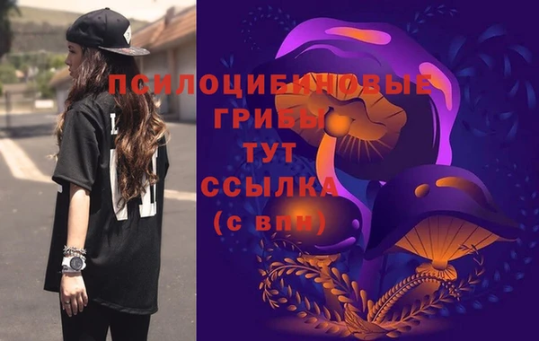 амф Заволжье