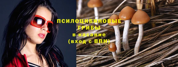 ГАЛЛЮЦИНОГЕННЫЕ ГРИБЫ Заволжск