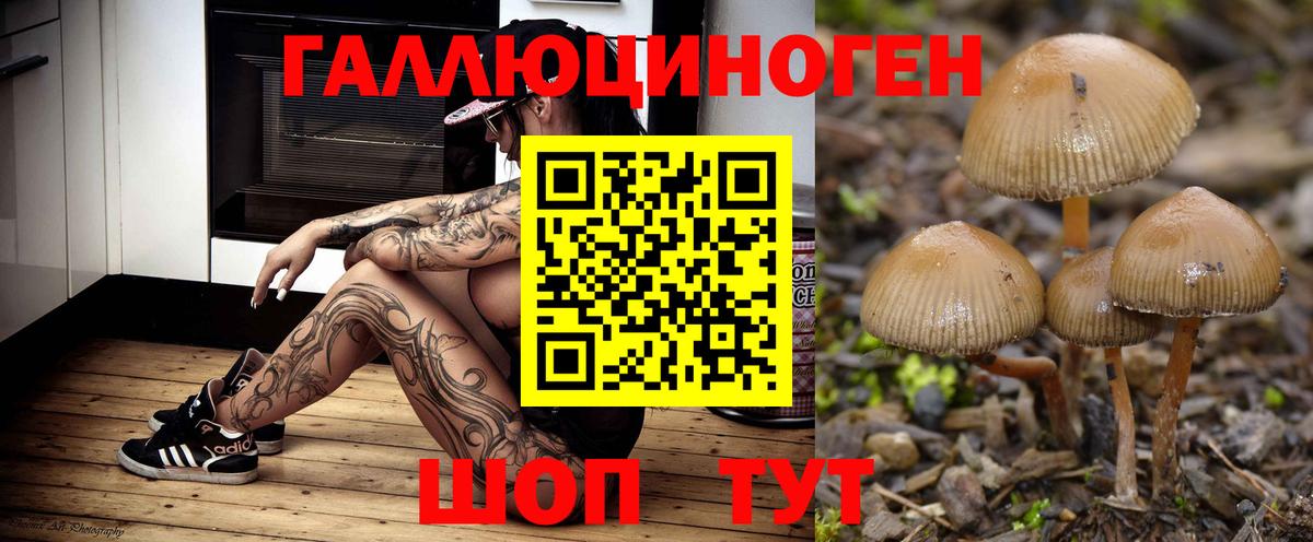 Галлюциногенные грибы Magic Shrooms  Вход с VPN  Воскресенск  Галлюциногенные грибы мицелий 